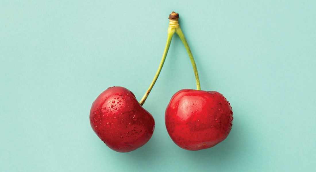 Pair of vivid red cherries on a pale blue background