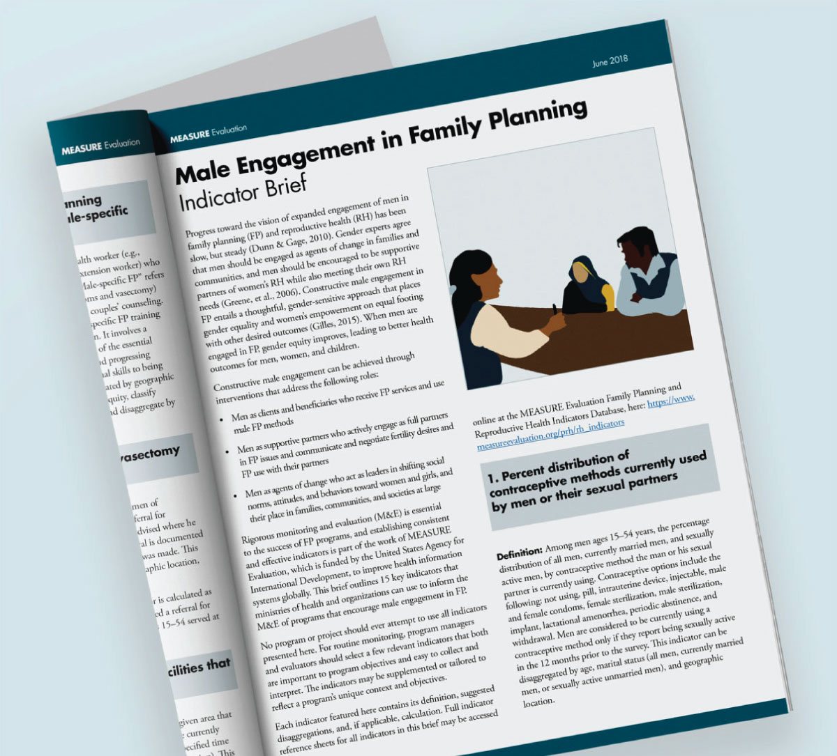 MEASURE Evaluation publication featuring a J'Marie illustration